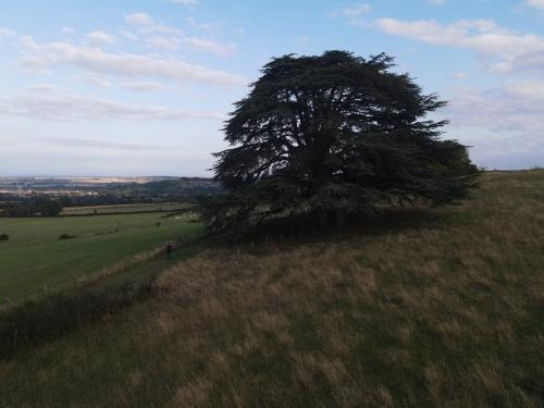 DJI_3646.JPG